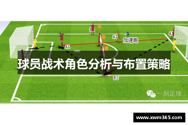 球员战术角色分析与布置策略
