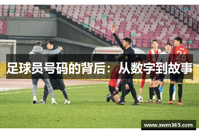 足球员号码的背后：从数字到故事